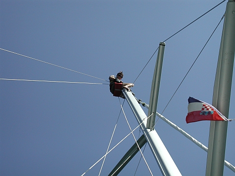 Mast